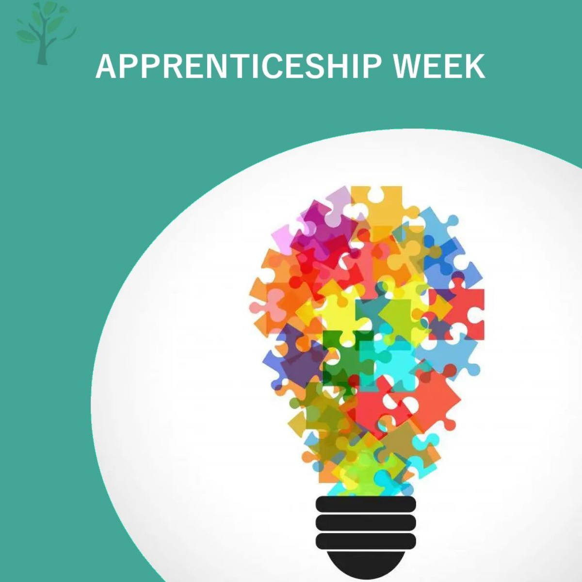 limehurst-academy-apprenticeship-week